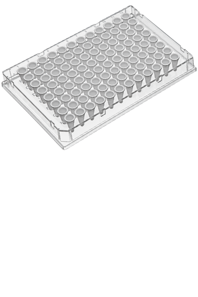 Shop PCR Plates