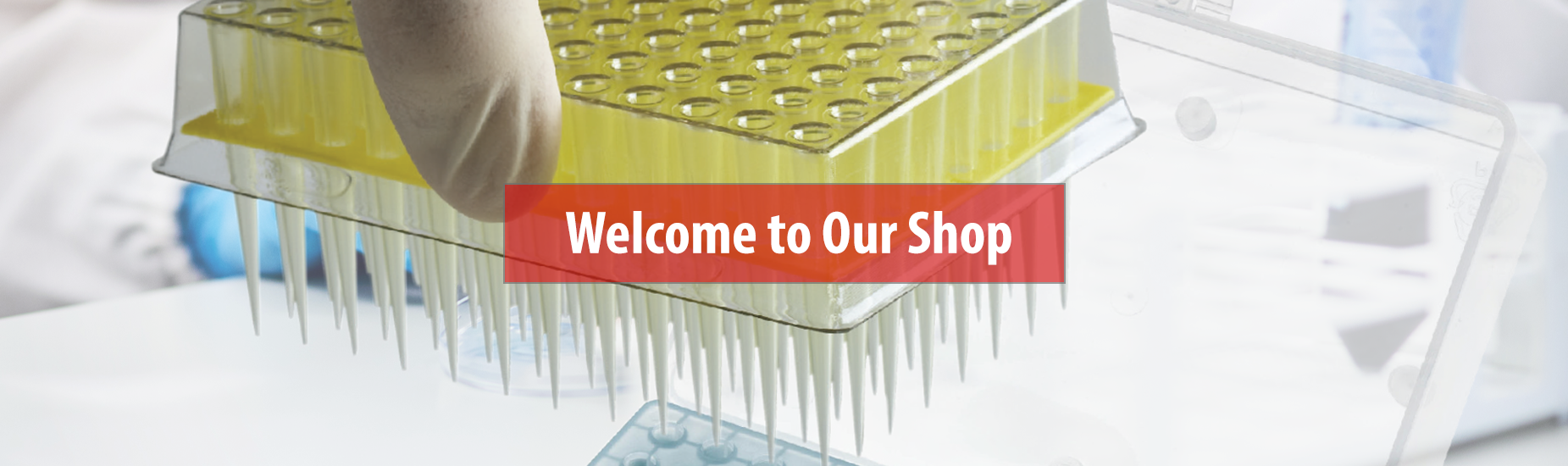 Shop our Products