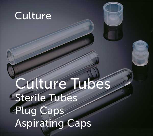 Culture