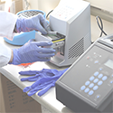 Molecular Biology