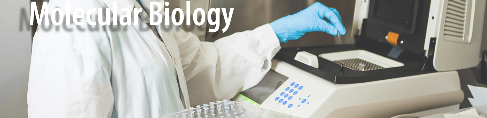 Molecular Biology